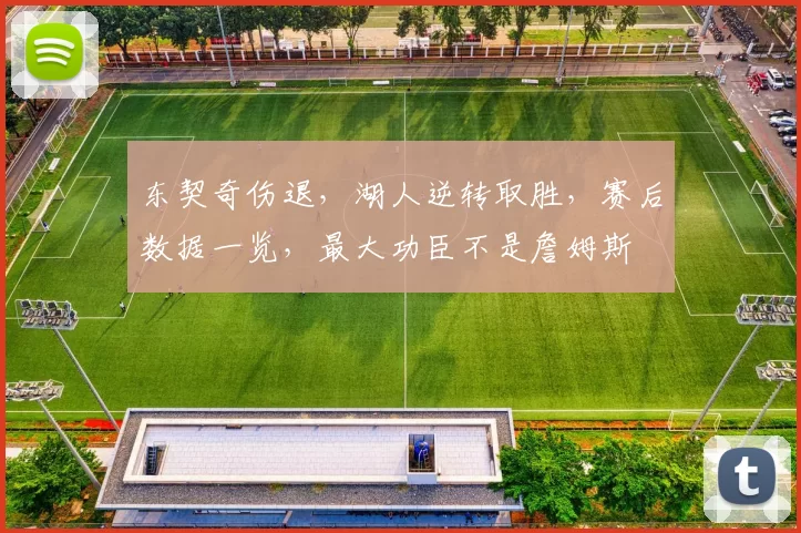 东契奇伤退，湖人逆转取胜，赛后数据一览，最大功臣不是詹姆斯