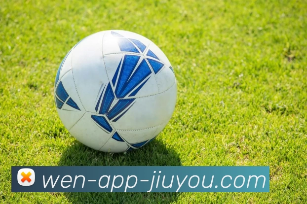 九游体育官网服务体系